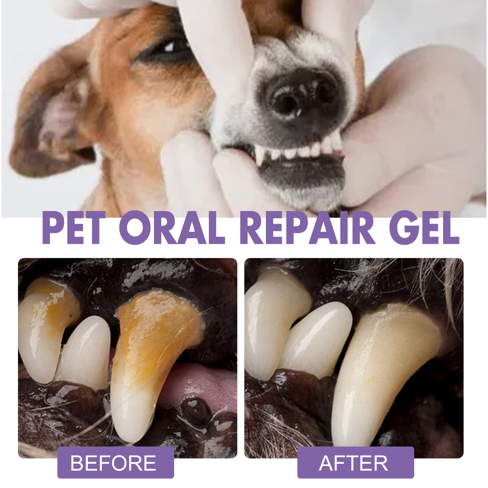 Gel de reparação oral para ani - Teeth Whitening App avaliação e preço